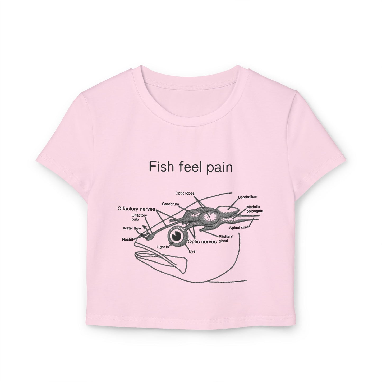 Fish Feel Pain T-Shirt - Crop Tee - Graphic Tee - Fish are not vegetables