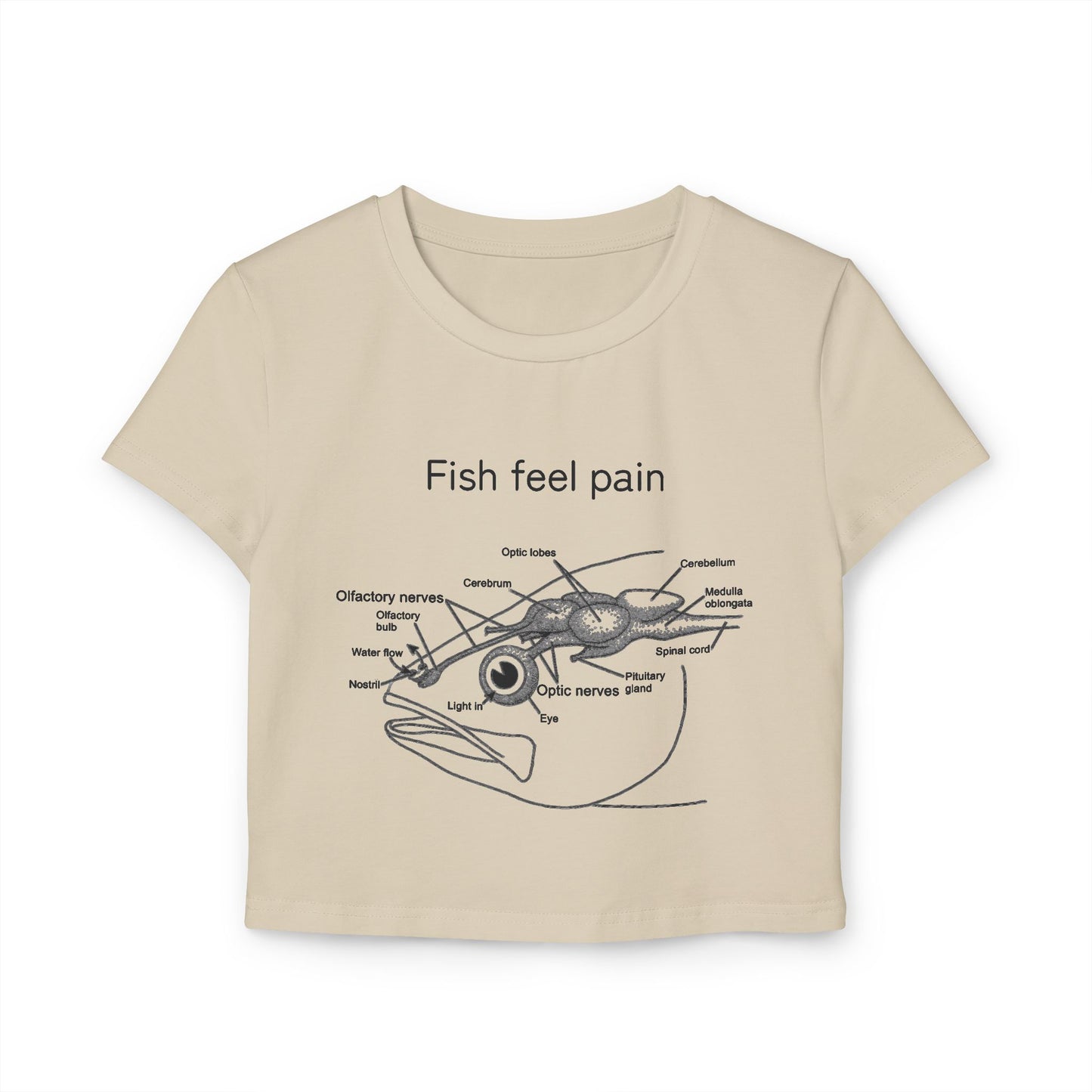 Fish Feel Pain T-Shirt - Crop Tee - Graphic Tee - Fish are not vegetables